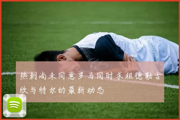 热刺尚未同意罗马同时求租德勒古欣与特尔的最新动态